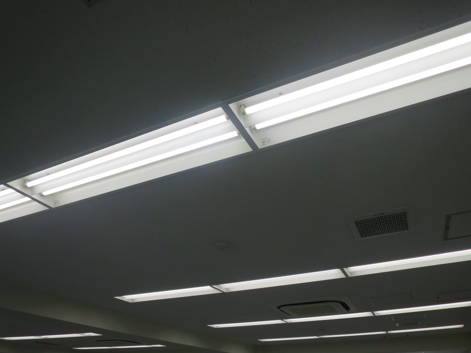 天井の様子