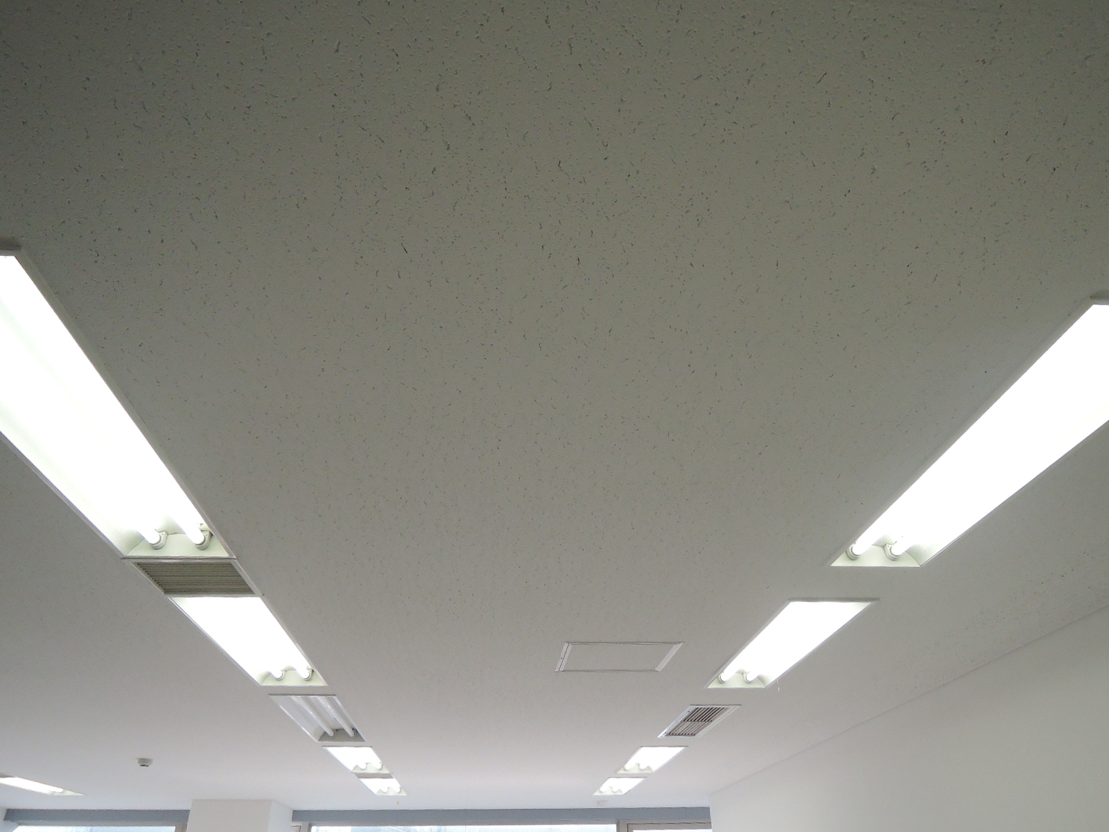 天井の様子