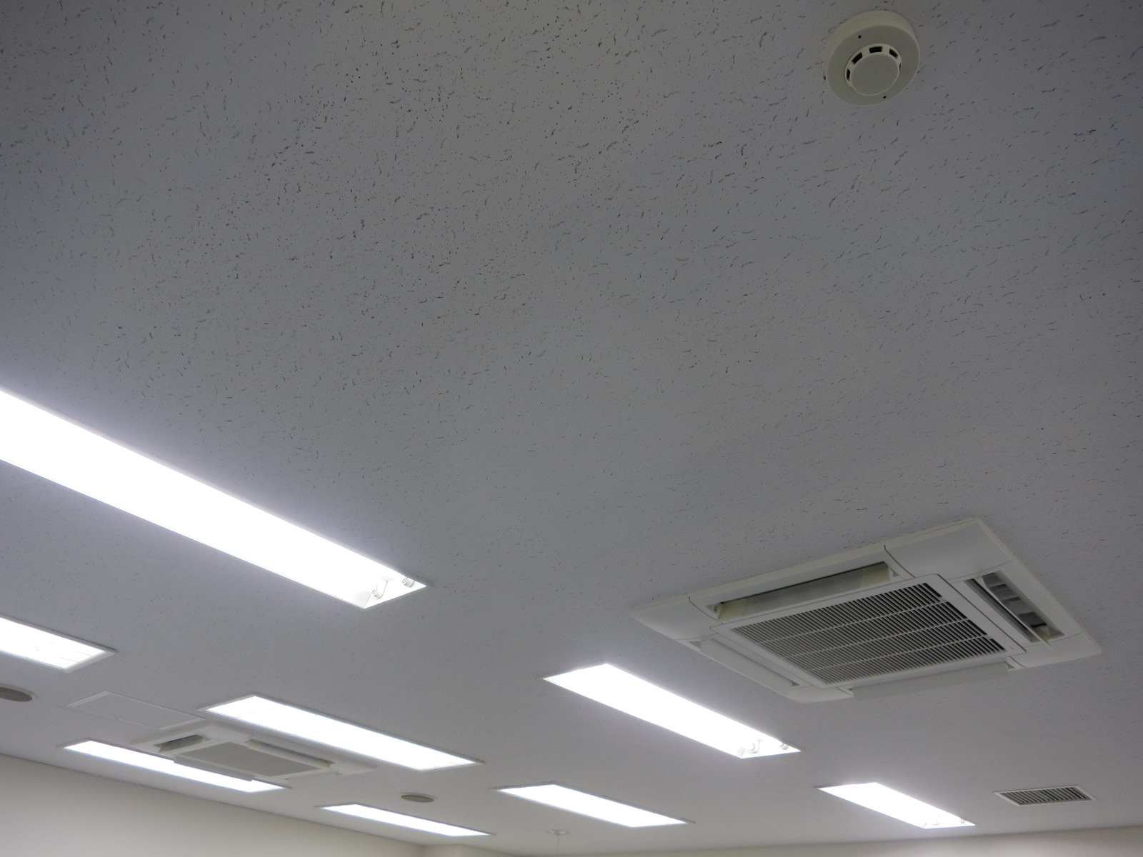 天井の様子