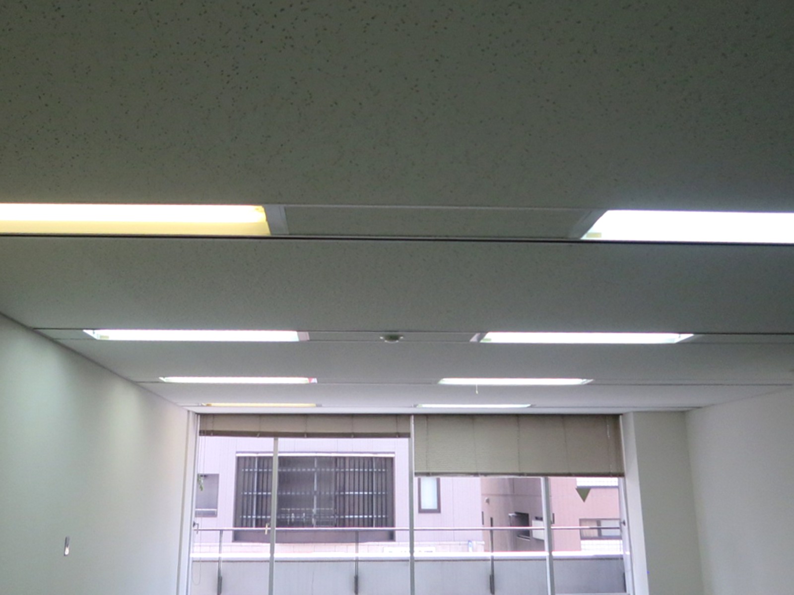 天井の様子