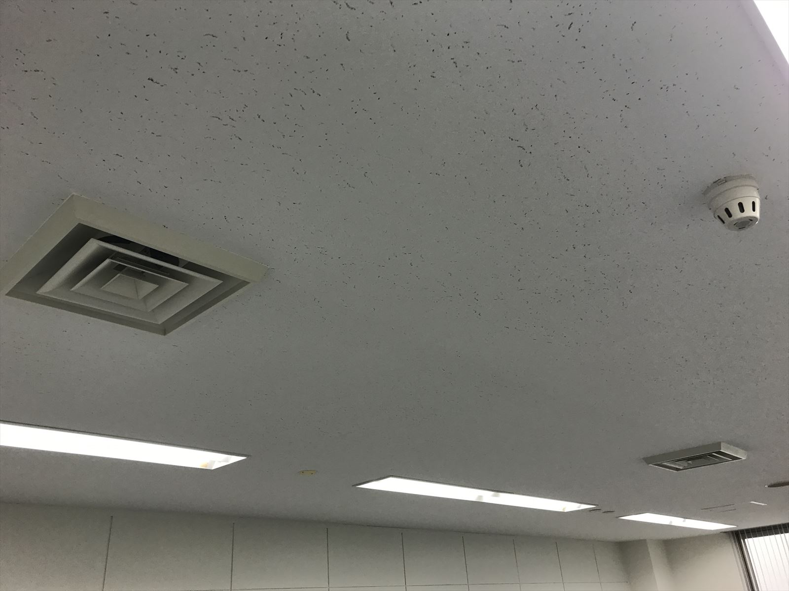 天井の様子