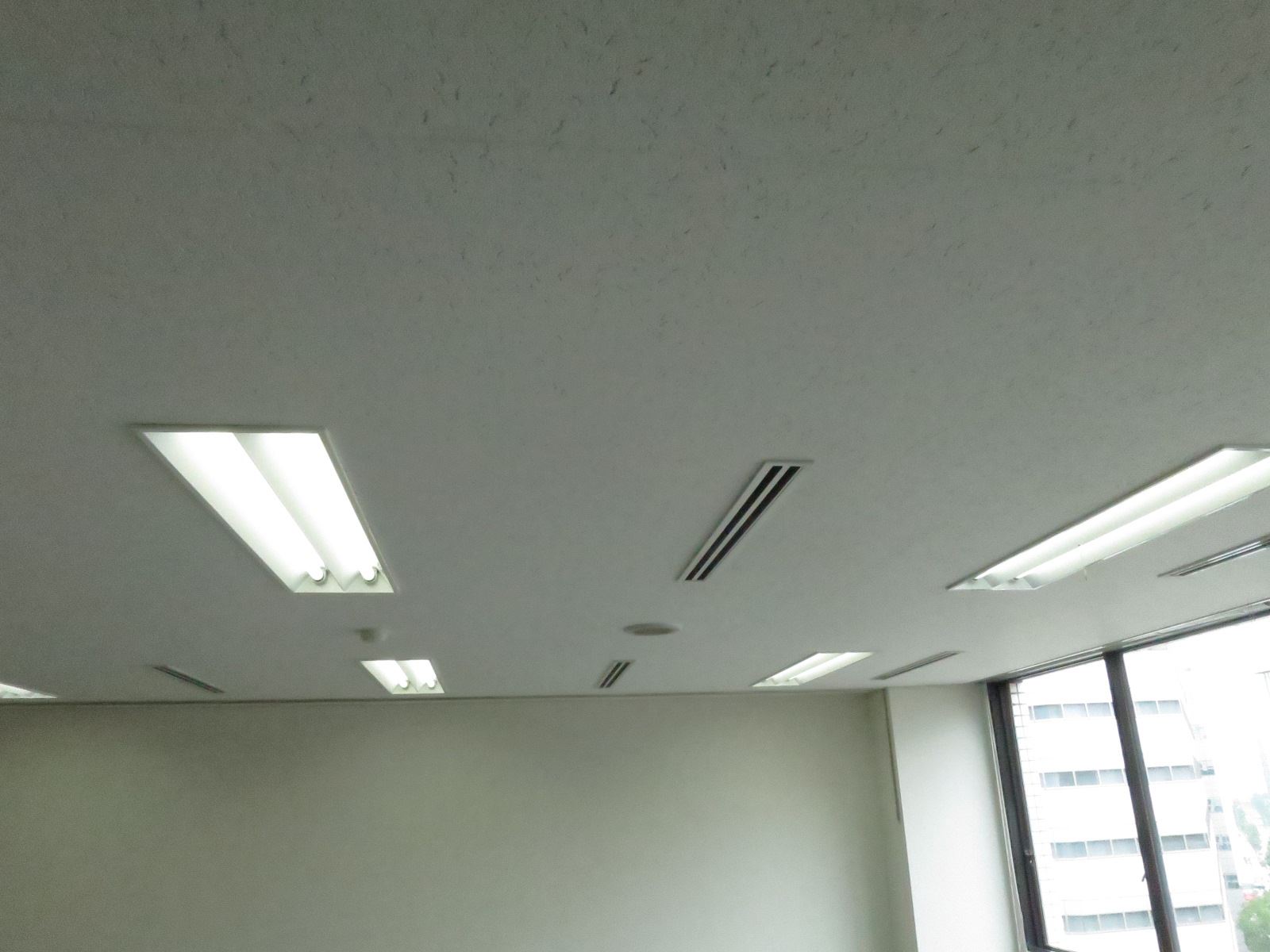 天井の様子