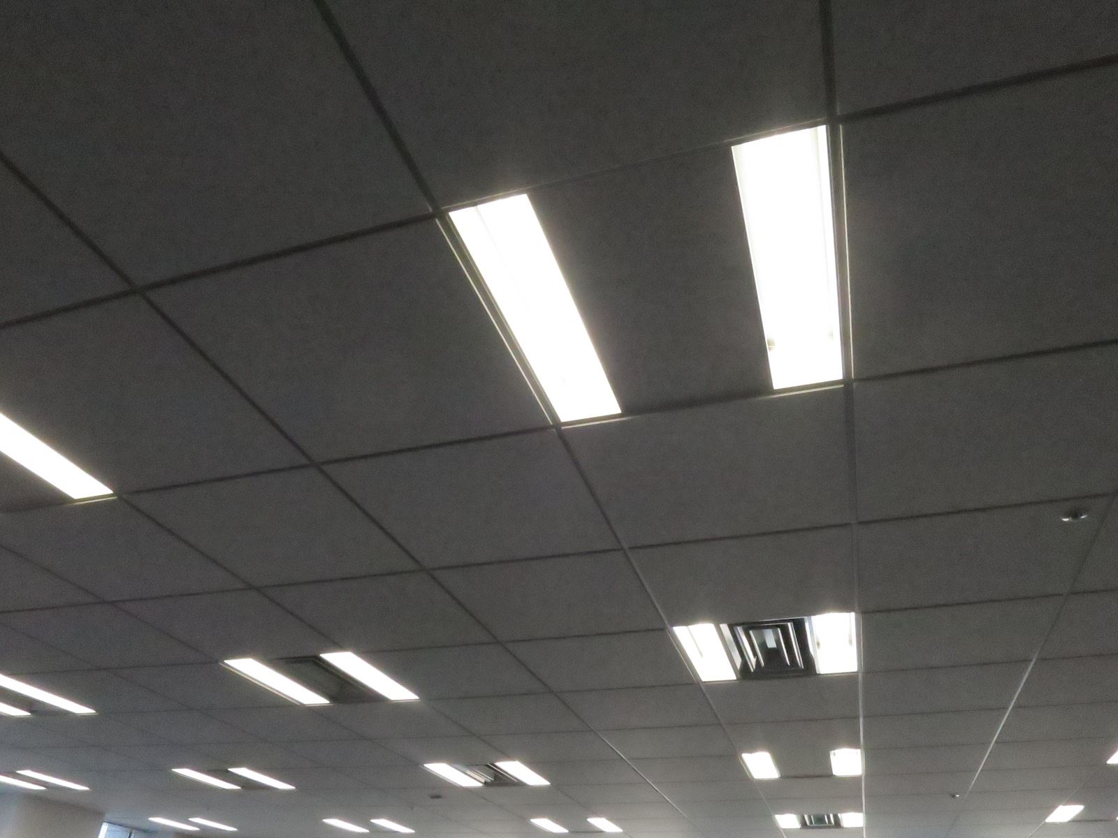 天井の様子