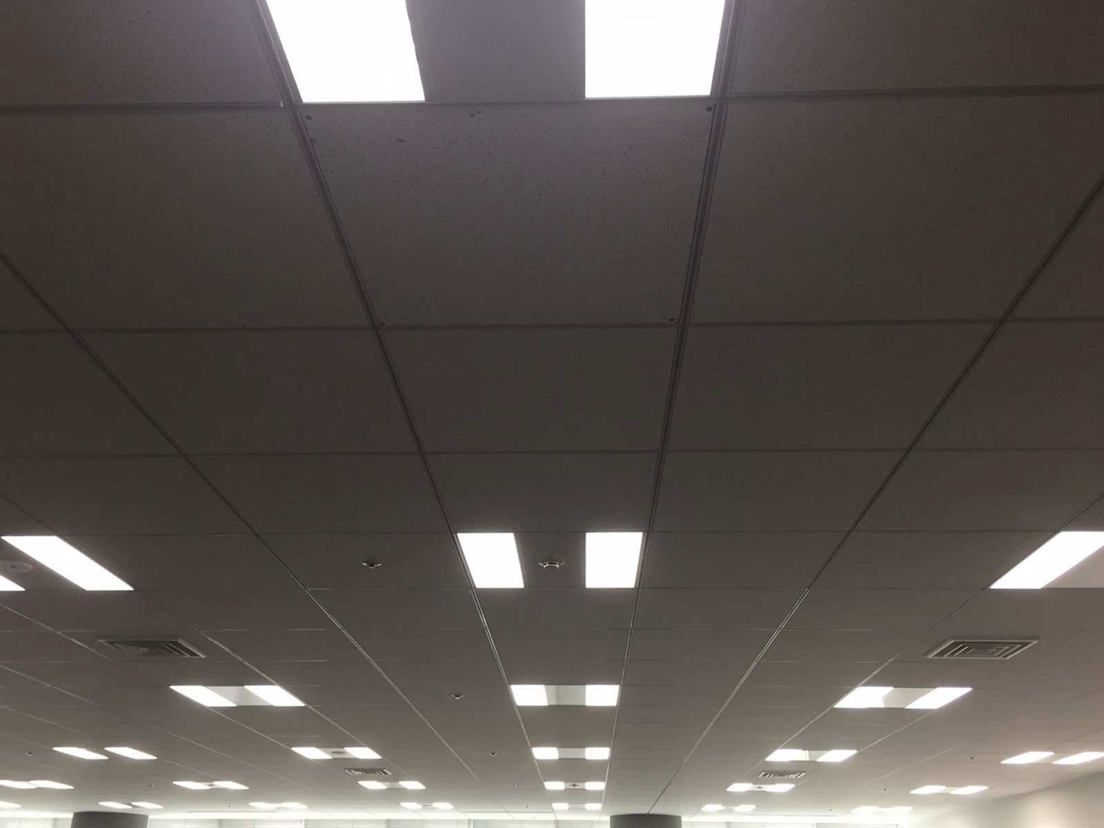 天井の様子