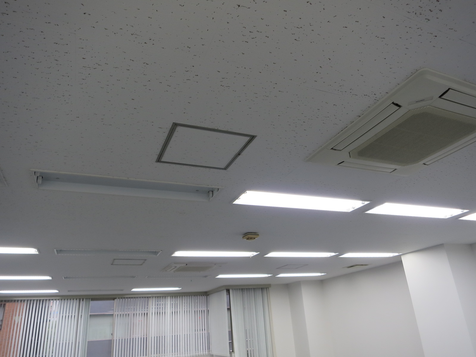 天井の様子