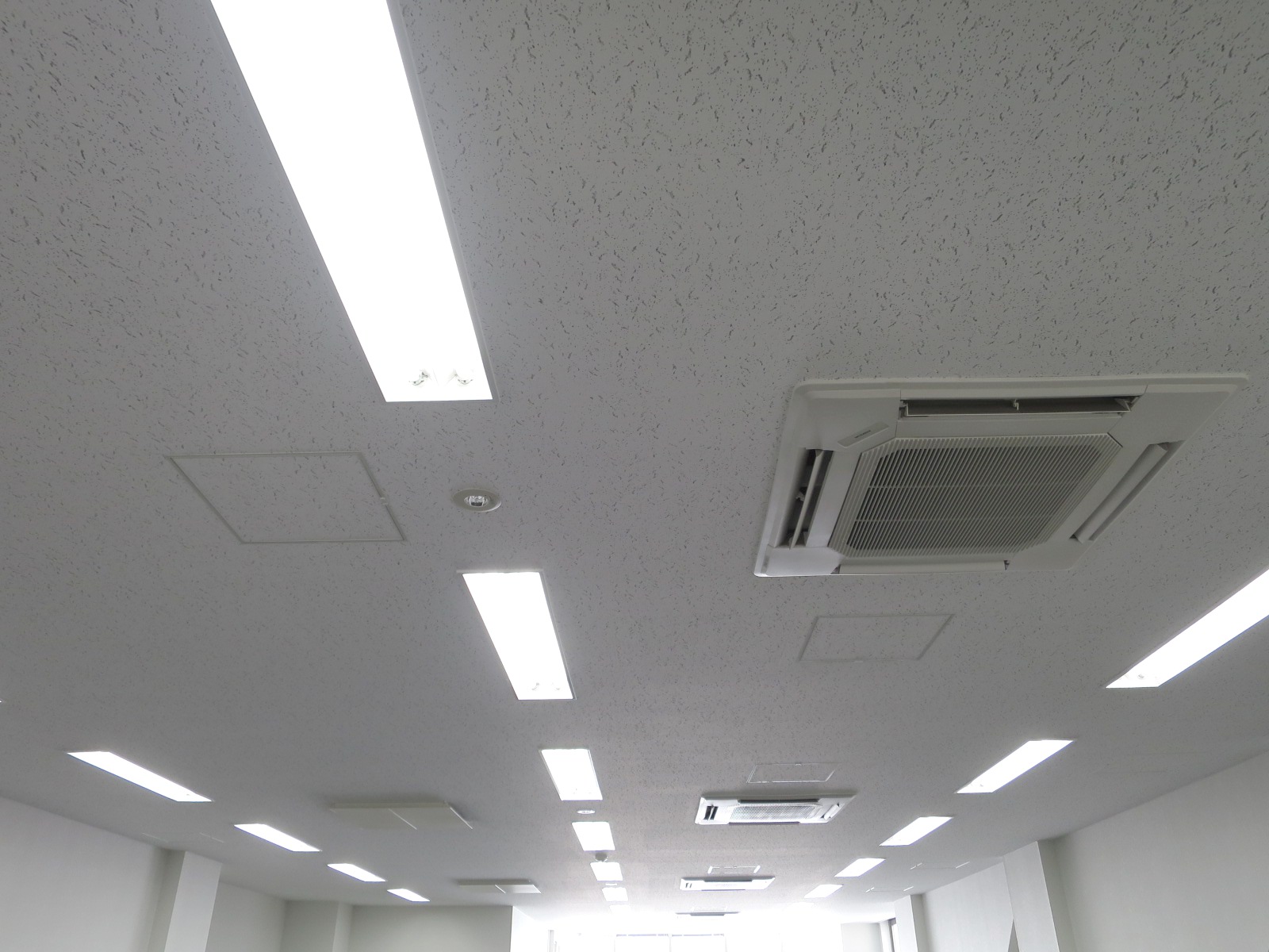 天井の様子