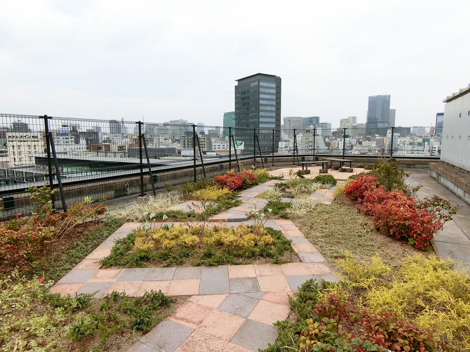 屋上