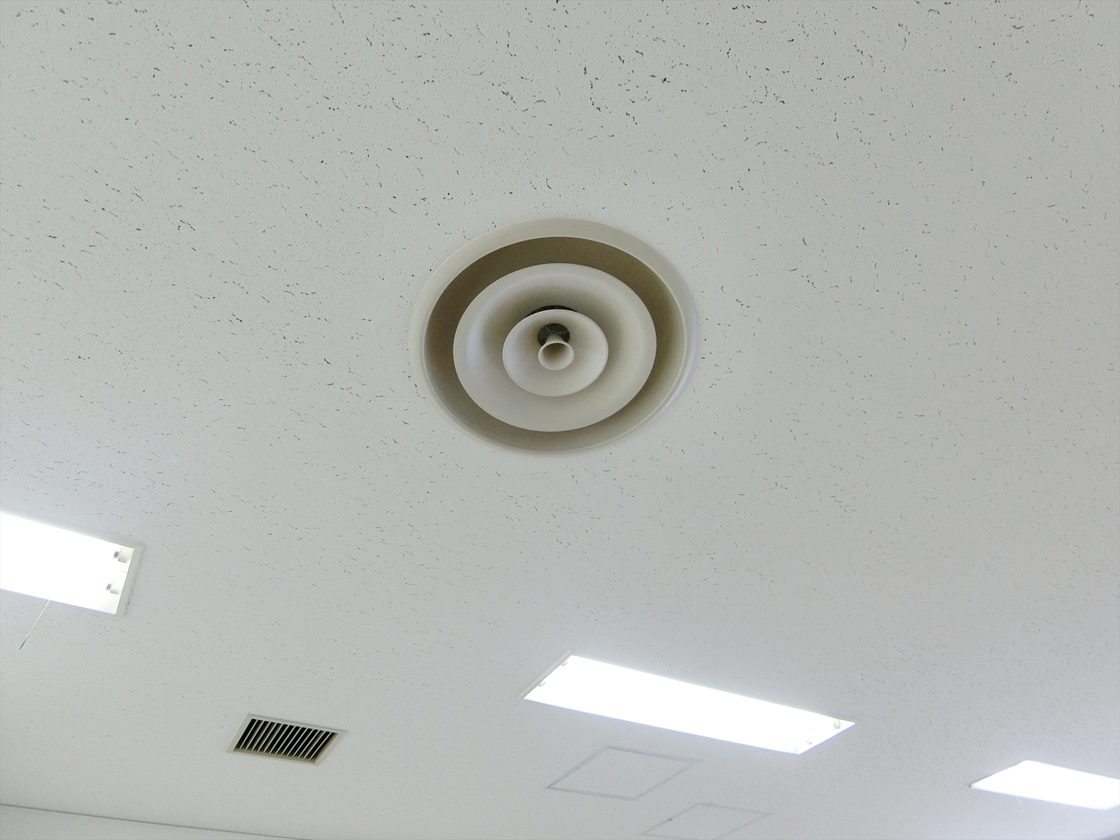 天井の様子