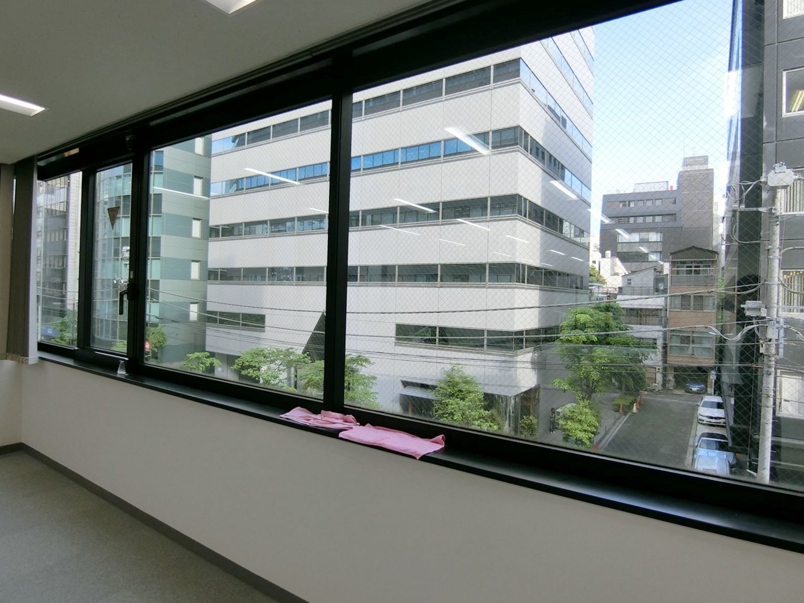 窓際の様子
