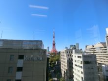 東京タワーを望む眺望