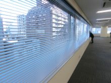 フェニックス南船場の部屋の雰囲気.3