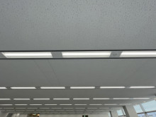 天井の様子