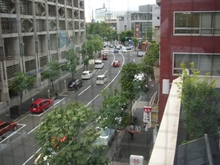 スタジアム通りの緑豊かな街路樹