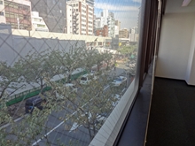 眺望（桜通り）