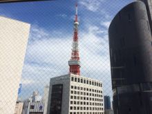 ランドコム麻布台の部屋の雰囲気.3