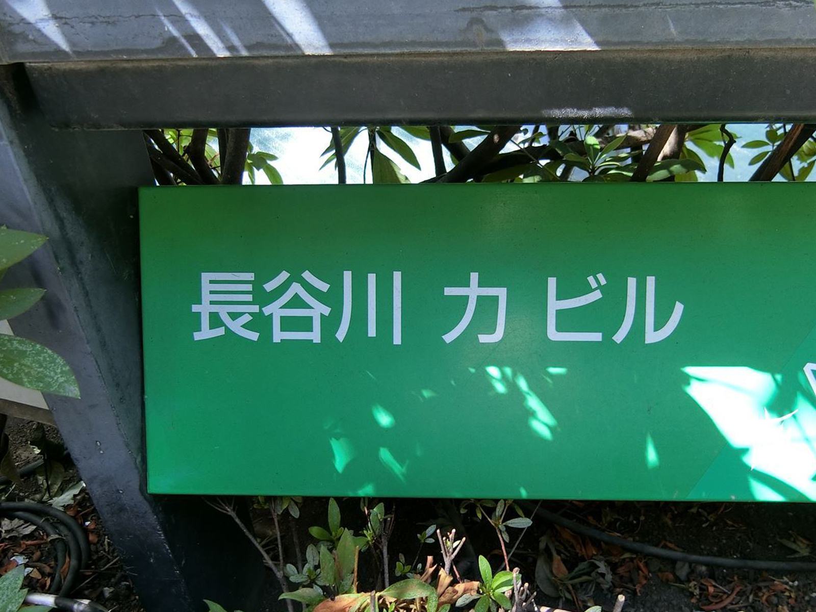 ネームプレート：長谷川力ビル