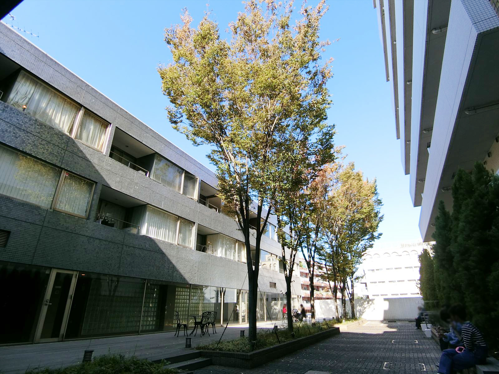 敷地内の中庭