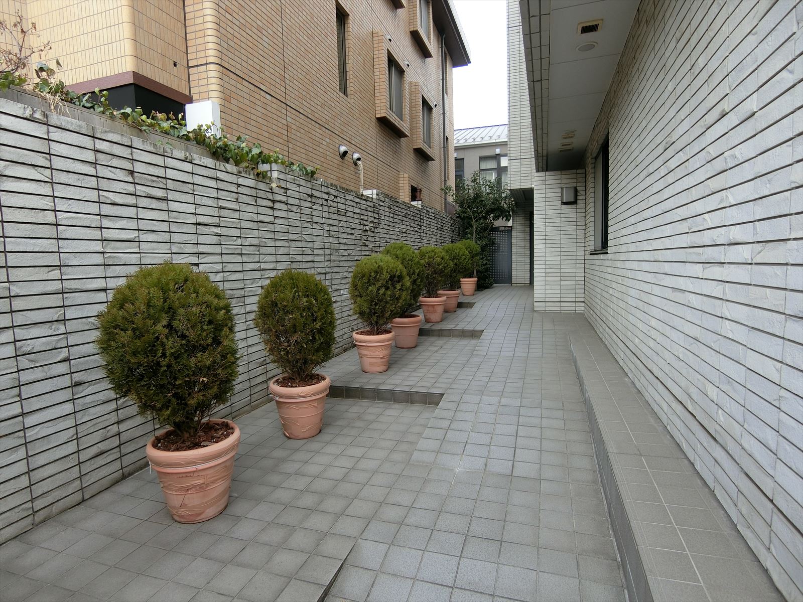 エントランスアプローチ