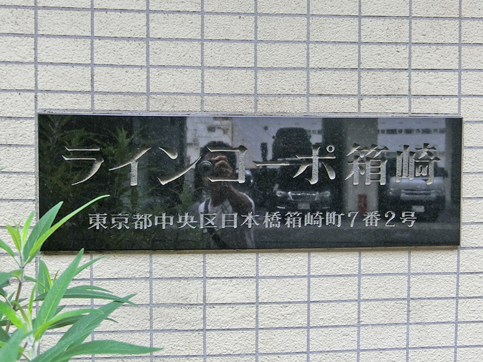 ラインコーポ箱崎前面の通り