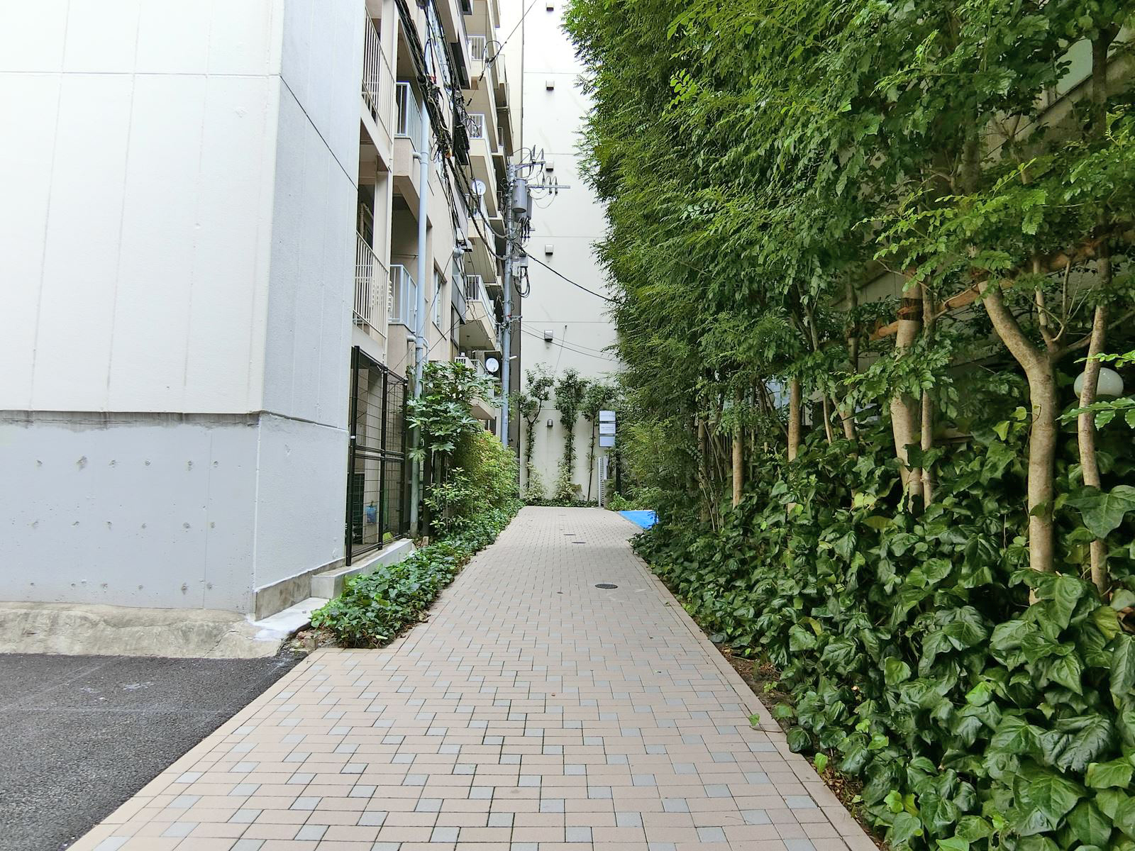 エントランス前