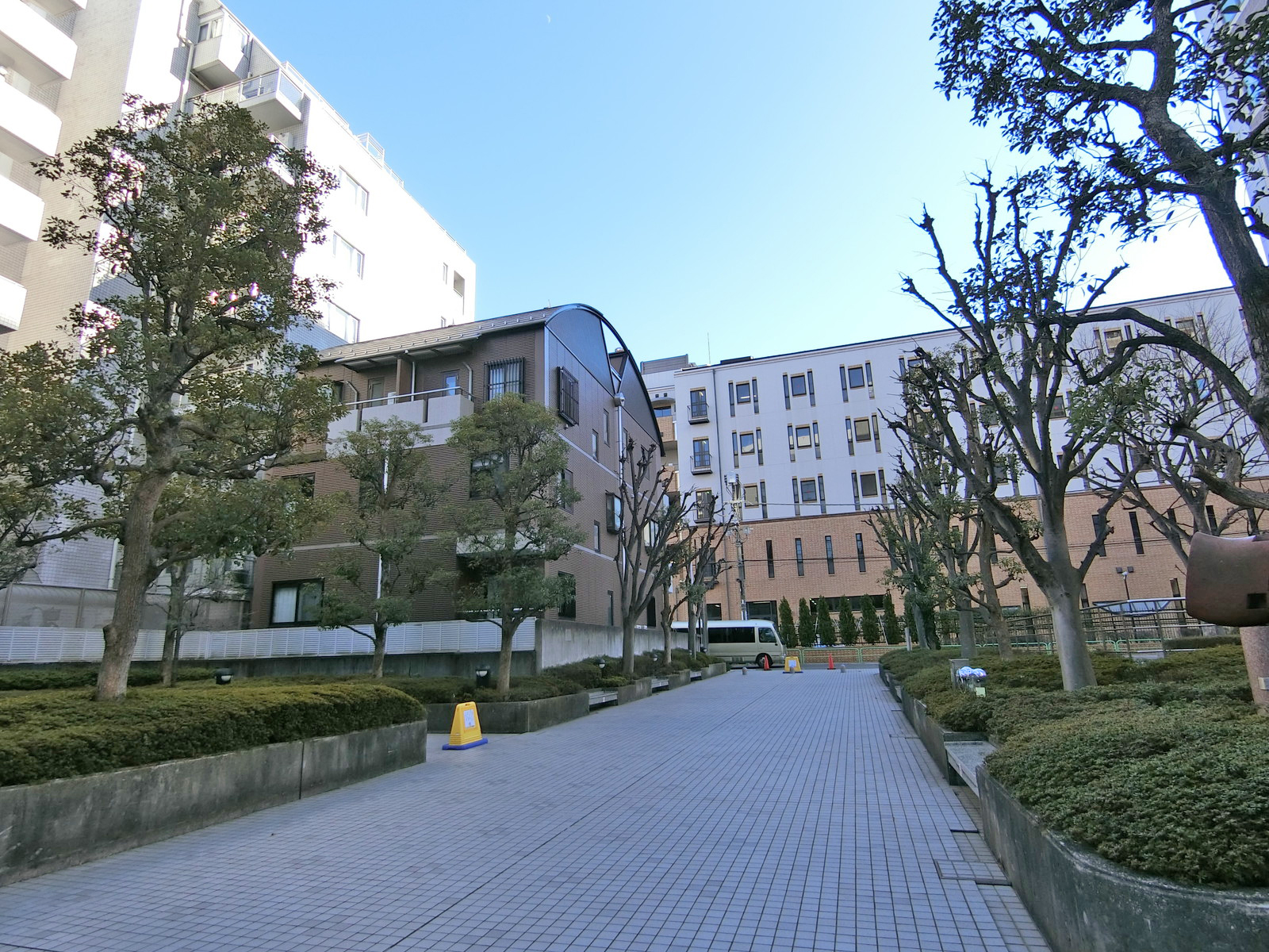 敷地内には緑が多い