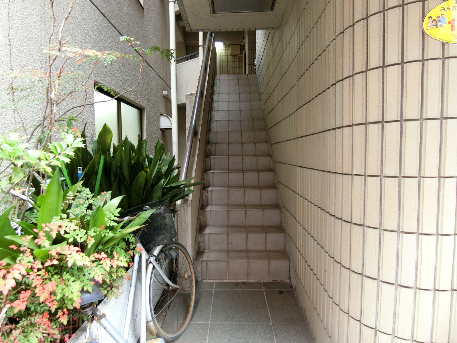 外階段