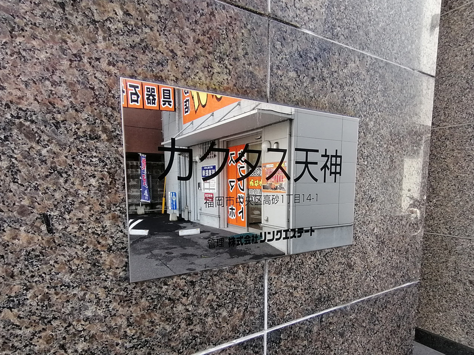 ネームプレート：カクタス天神