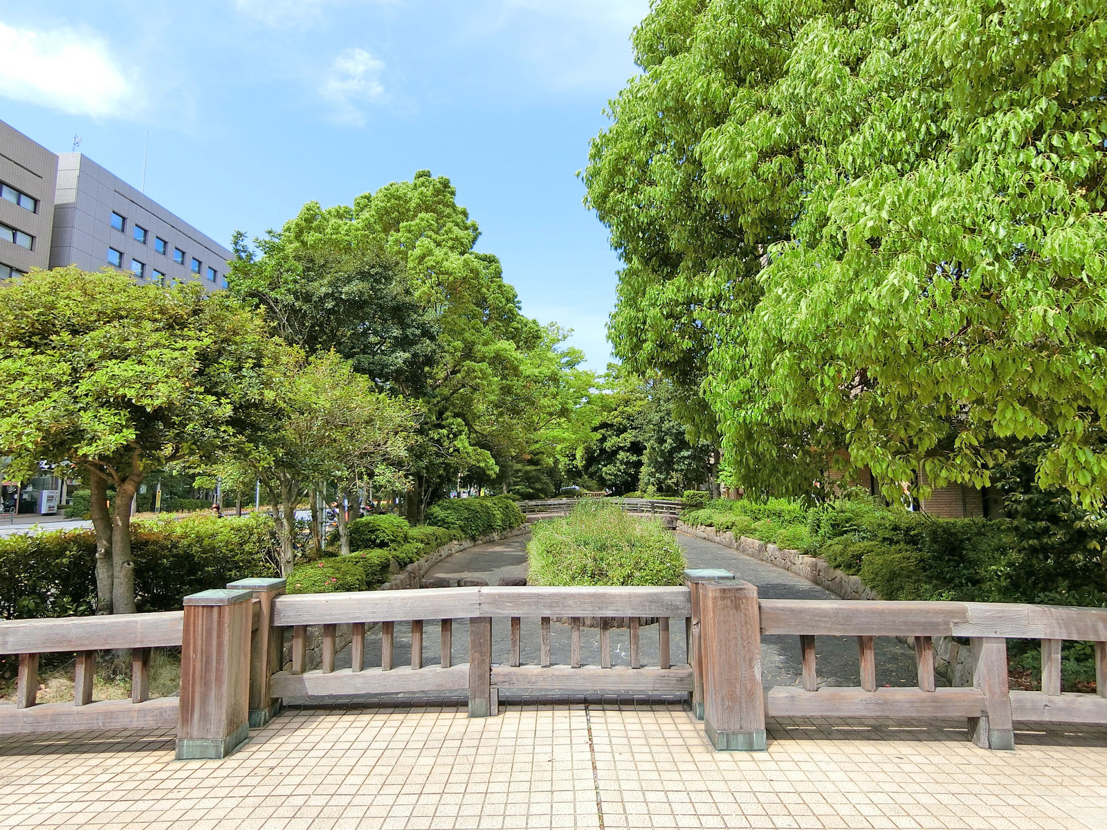敷地内には緑が豊富
