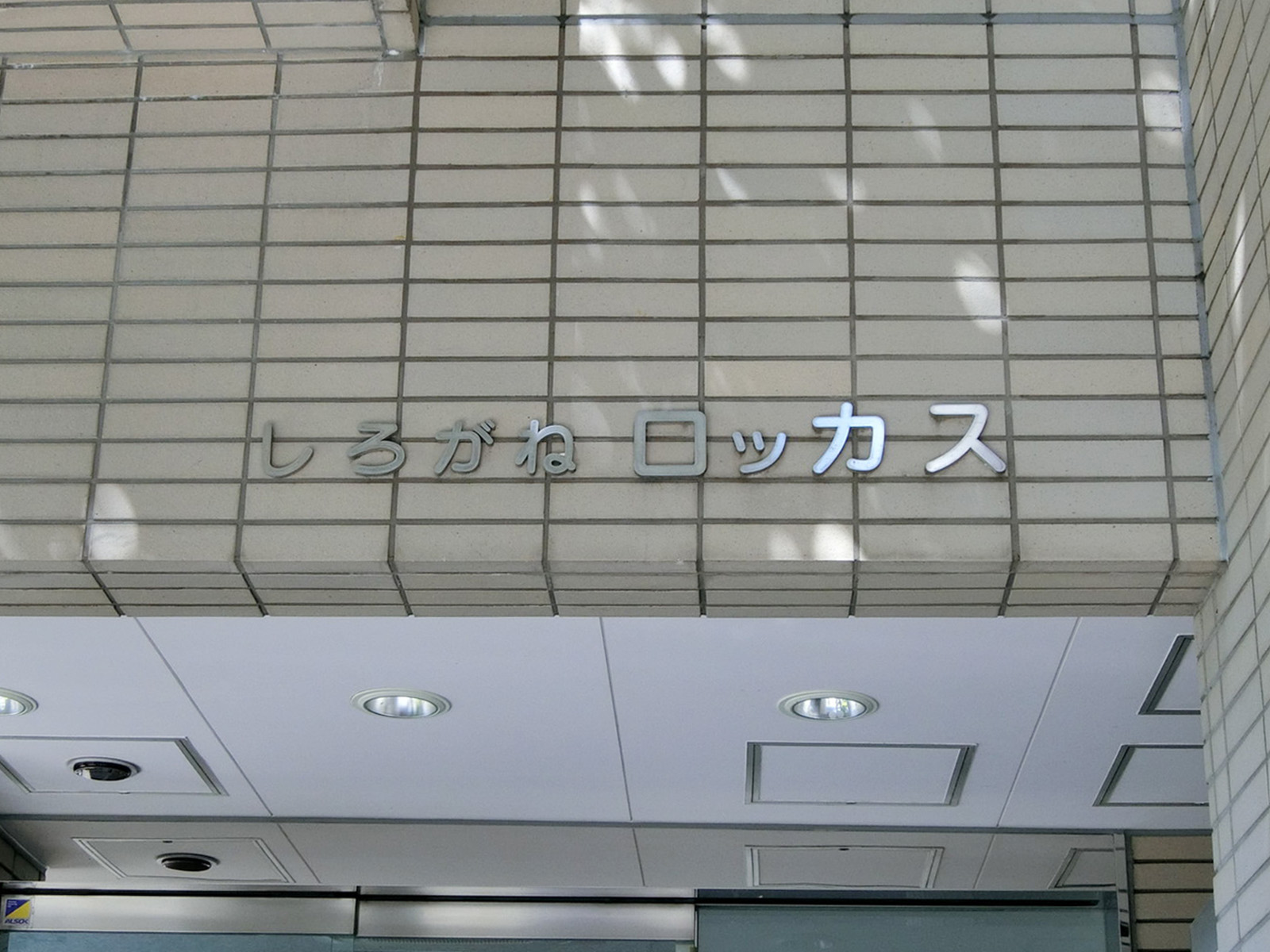 ネームプレート：しろがねロッカス