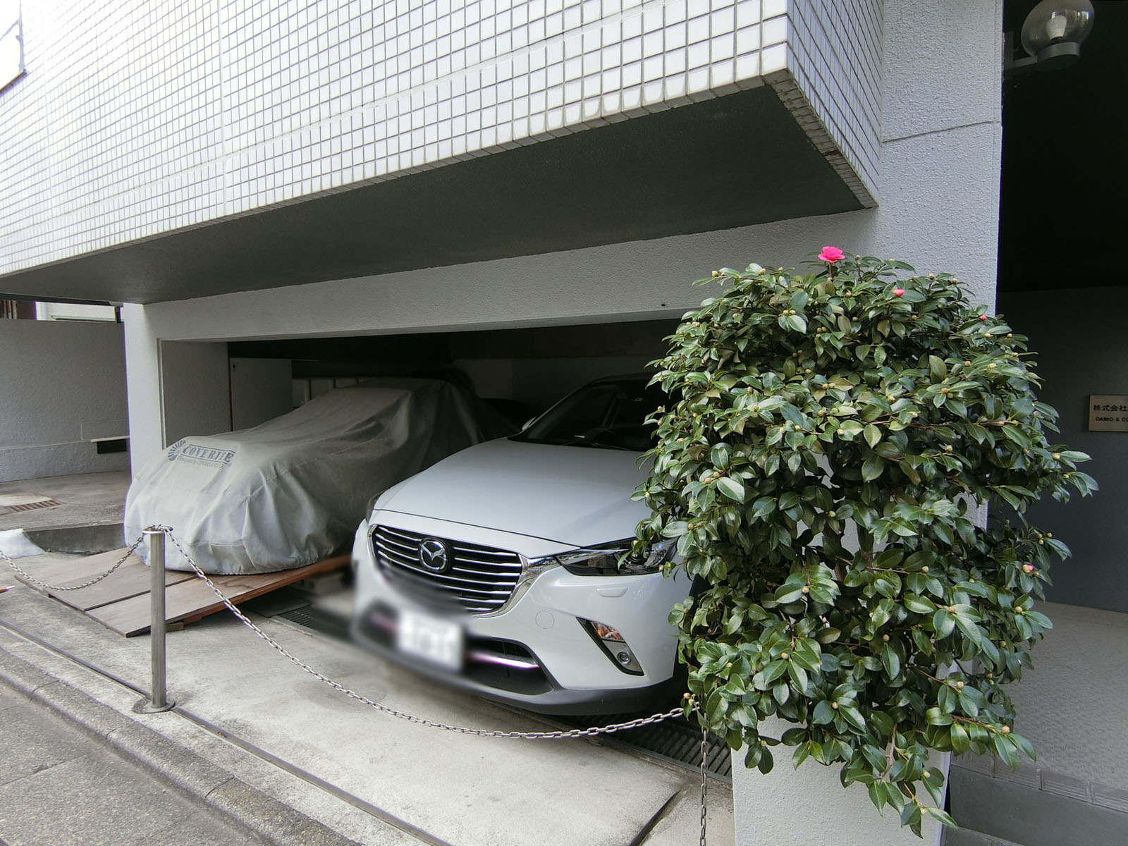 1階の様子