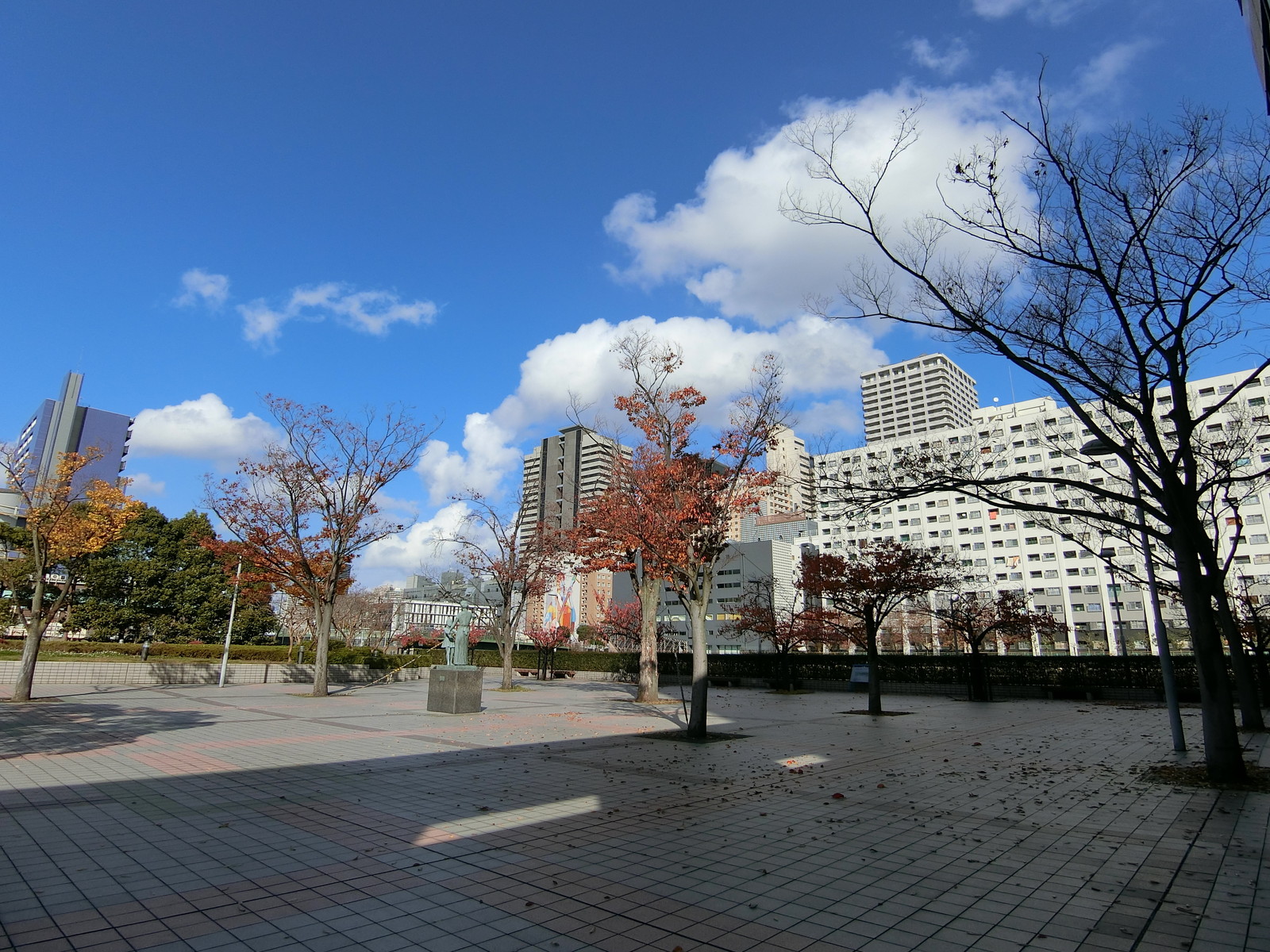 敷地内の広場