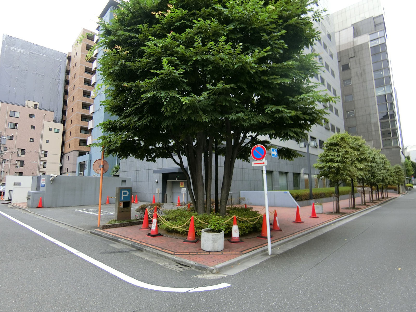 1階の様子