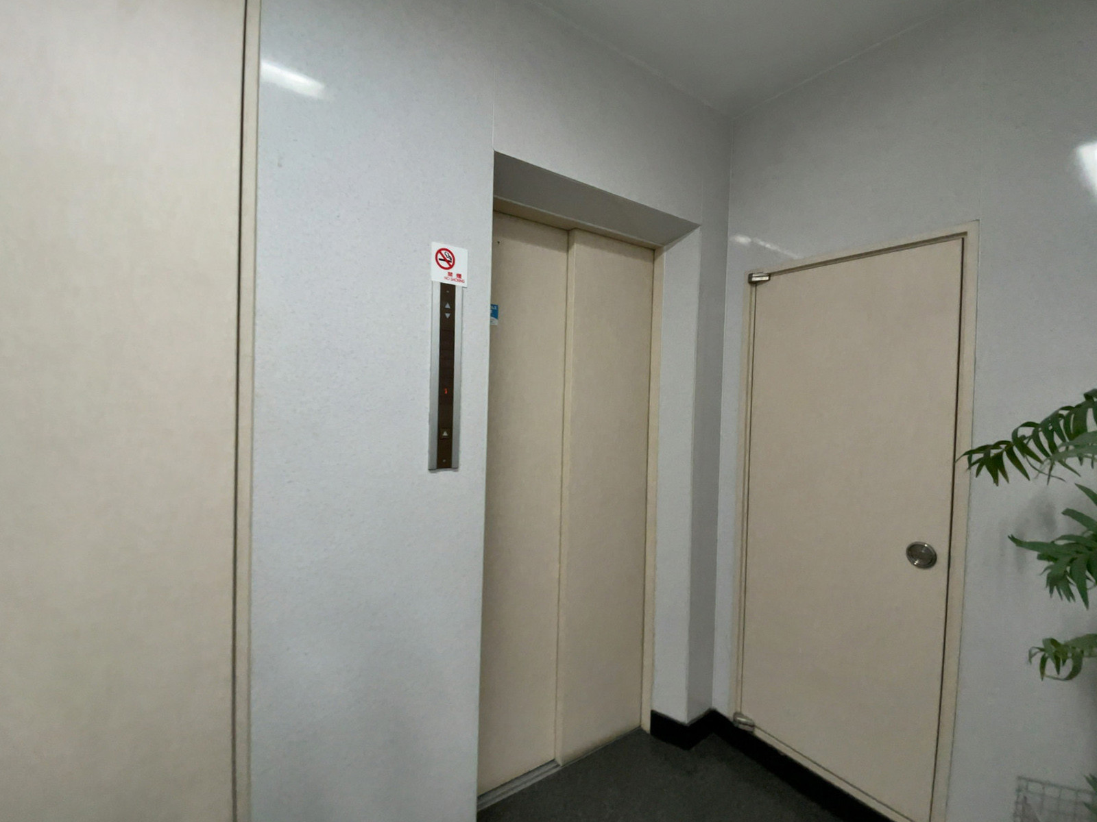 エレベーター(1基)