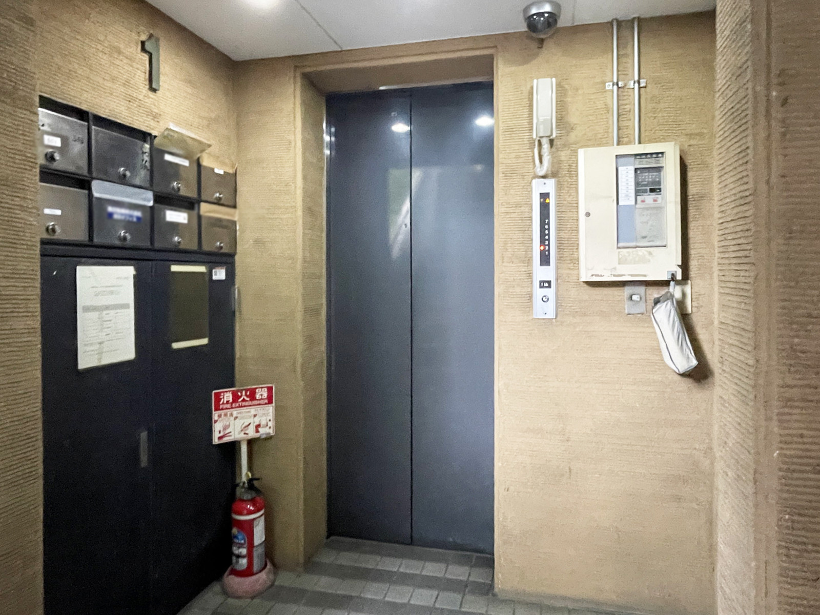 エレベーター(1基)