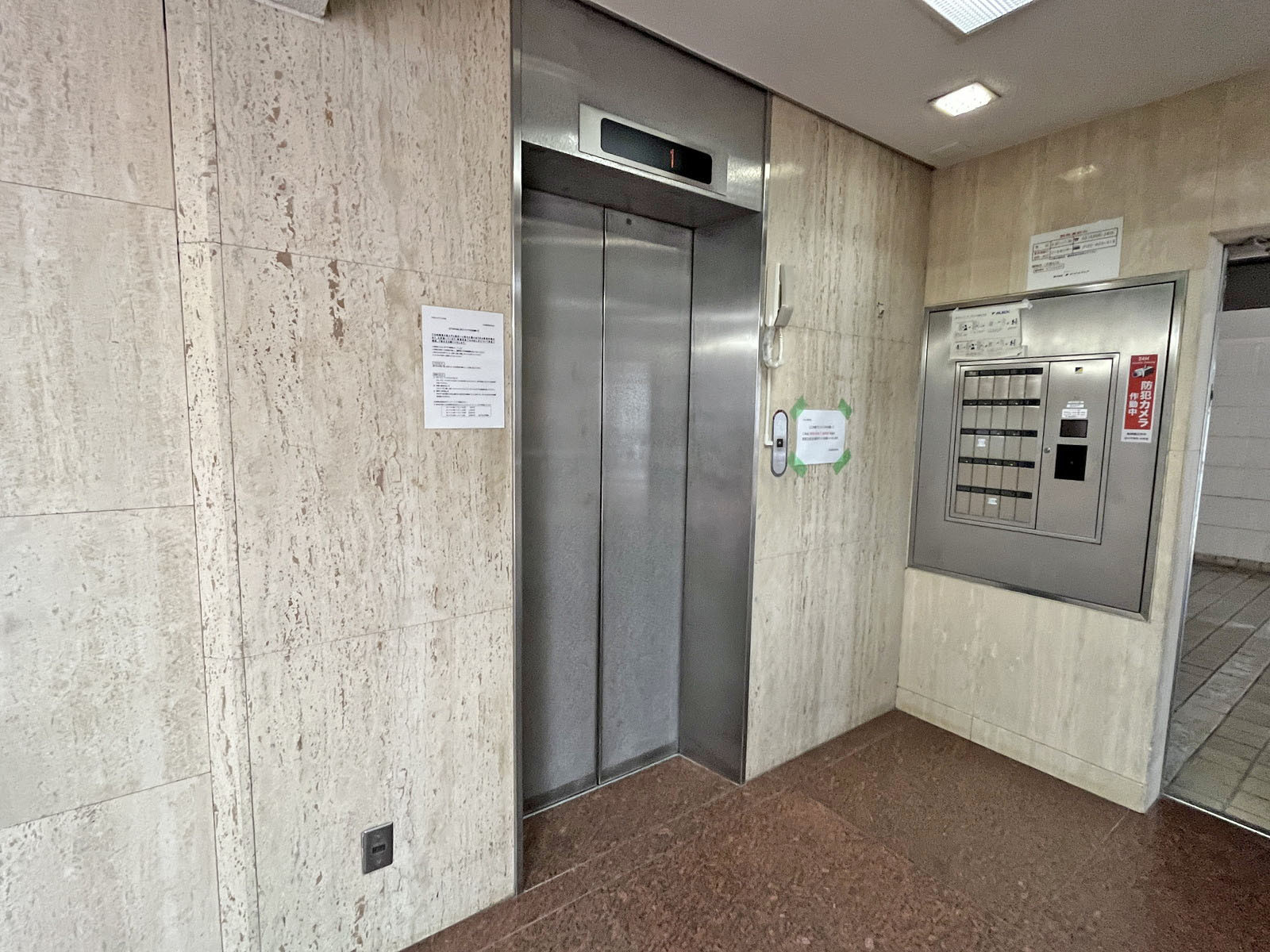 エレベーター(1基)