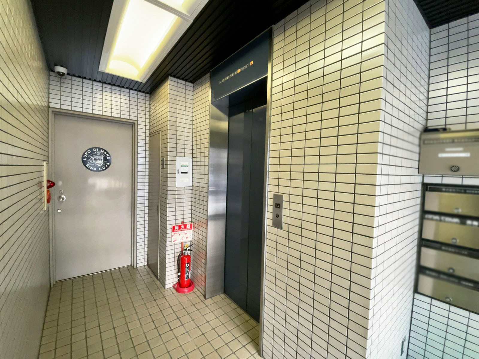 エレベーター(1基)