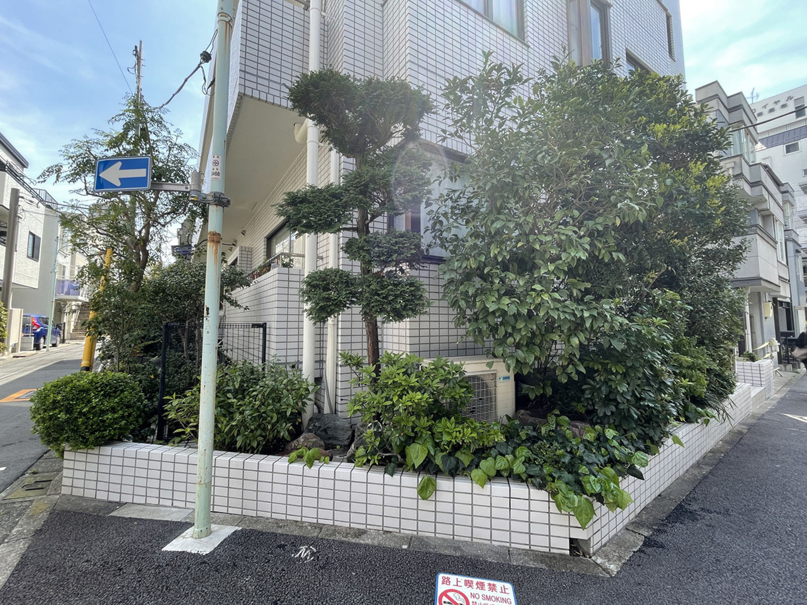 1階の様子