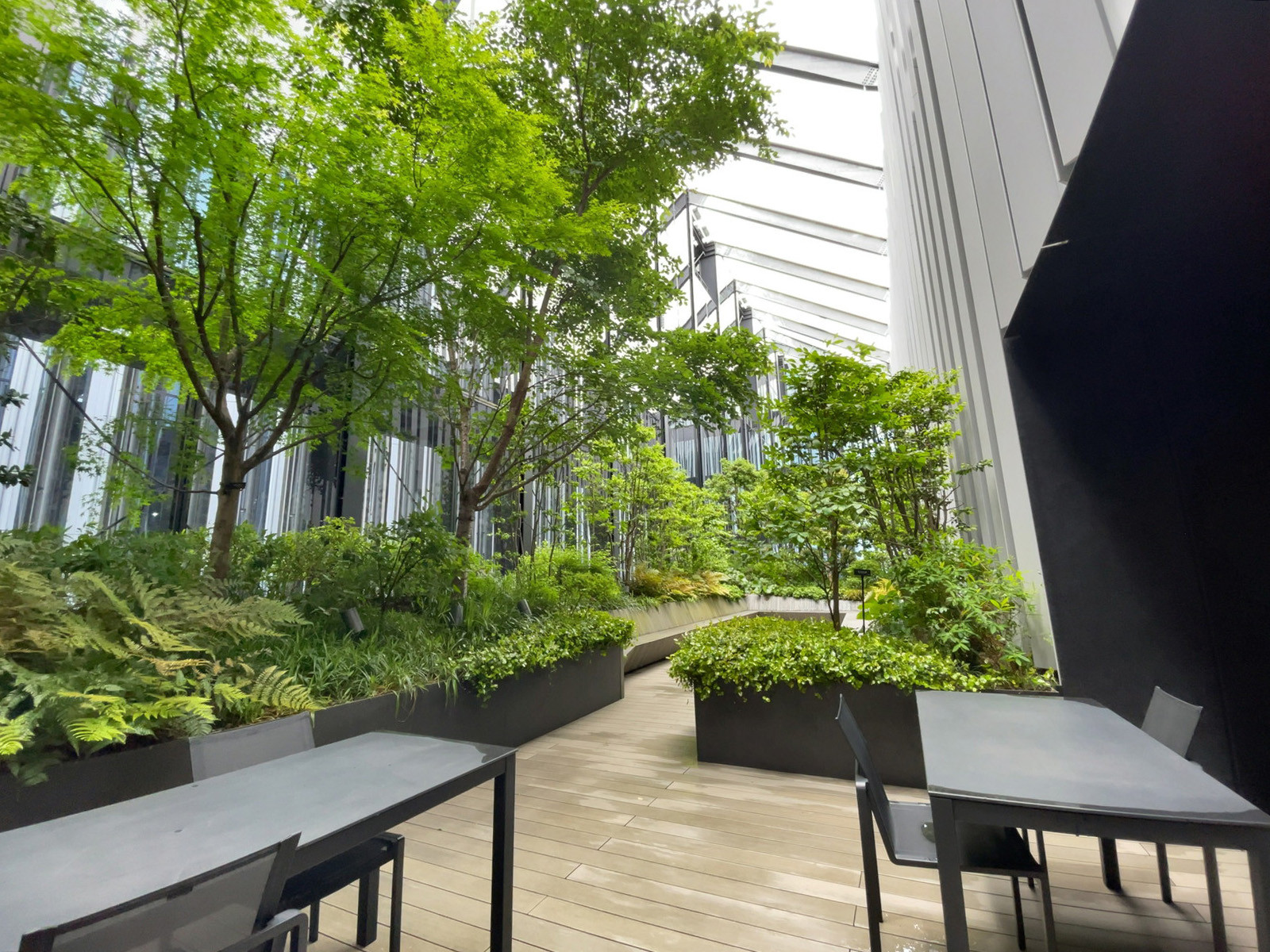 屋上庭園