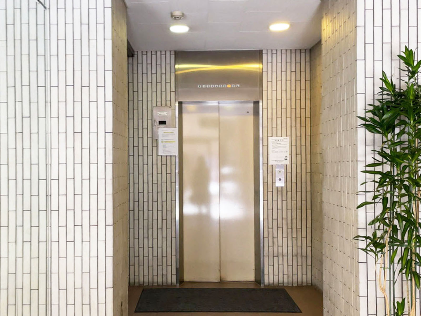 エレベーター(1基)
