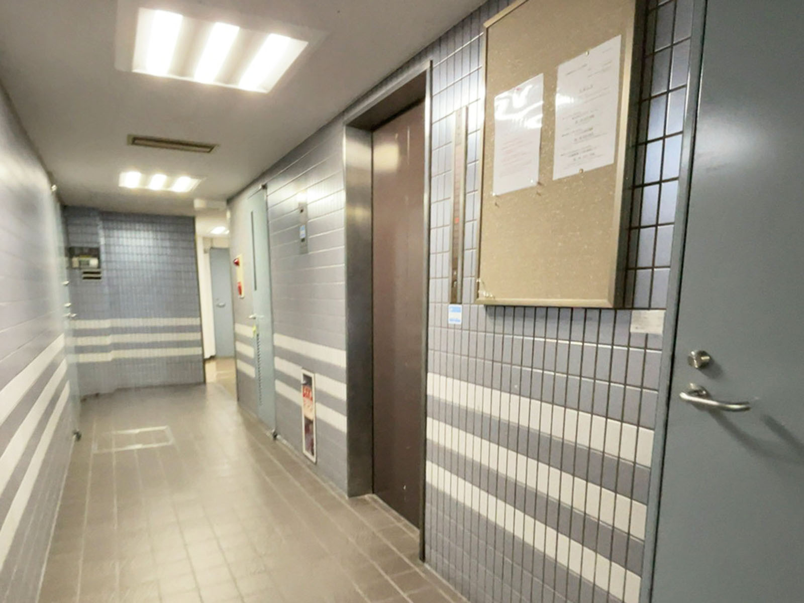 エレベーター（1基）