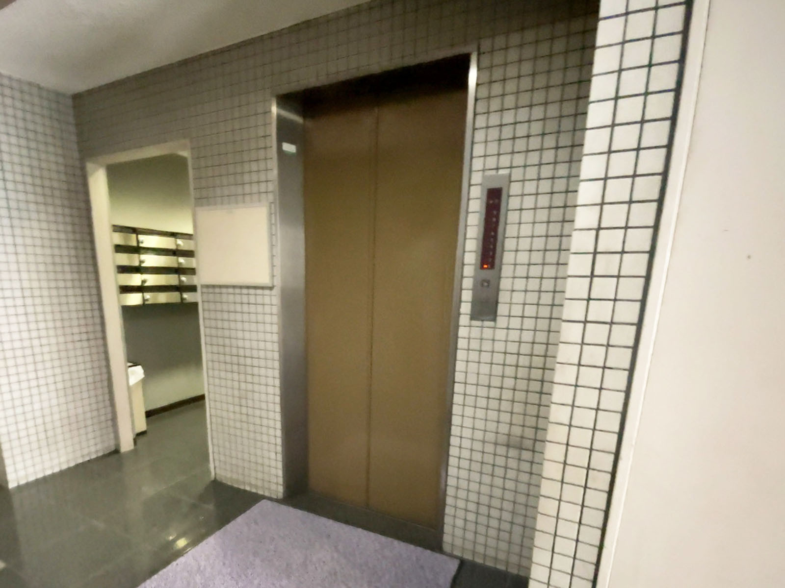 エレベーター(1基)