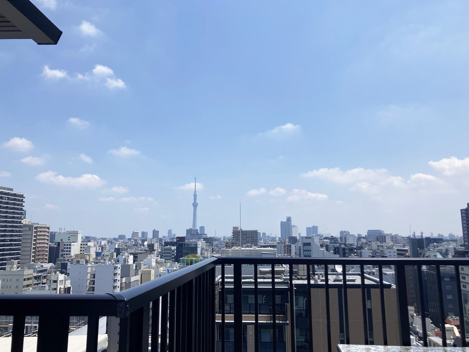 屋上からの眺望