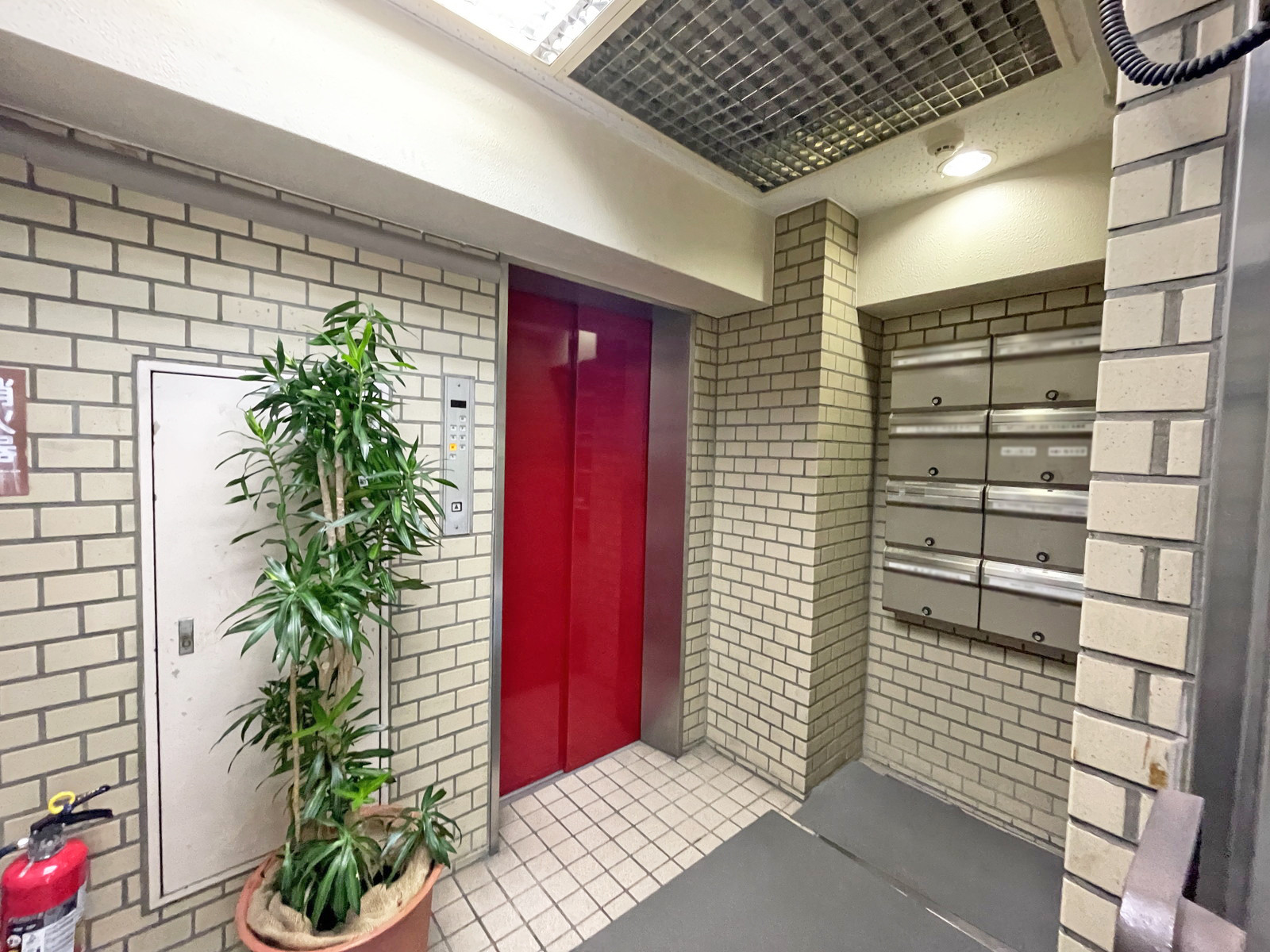 エレベーター(1基)