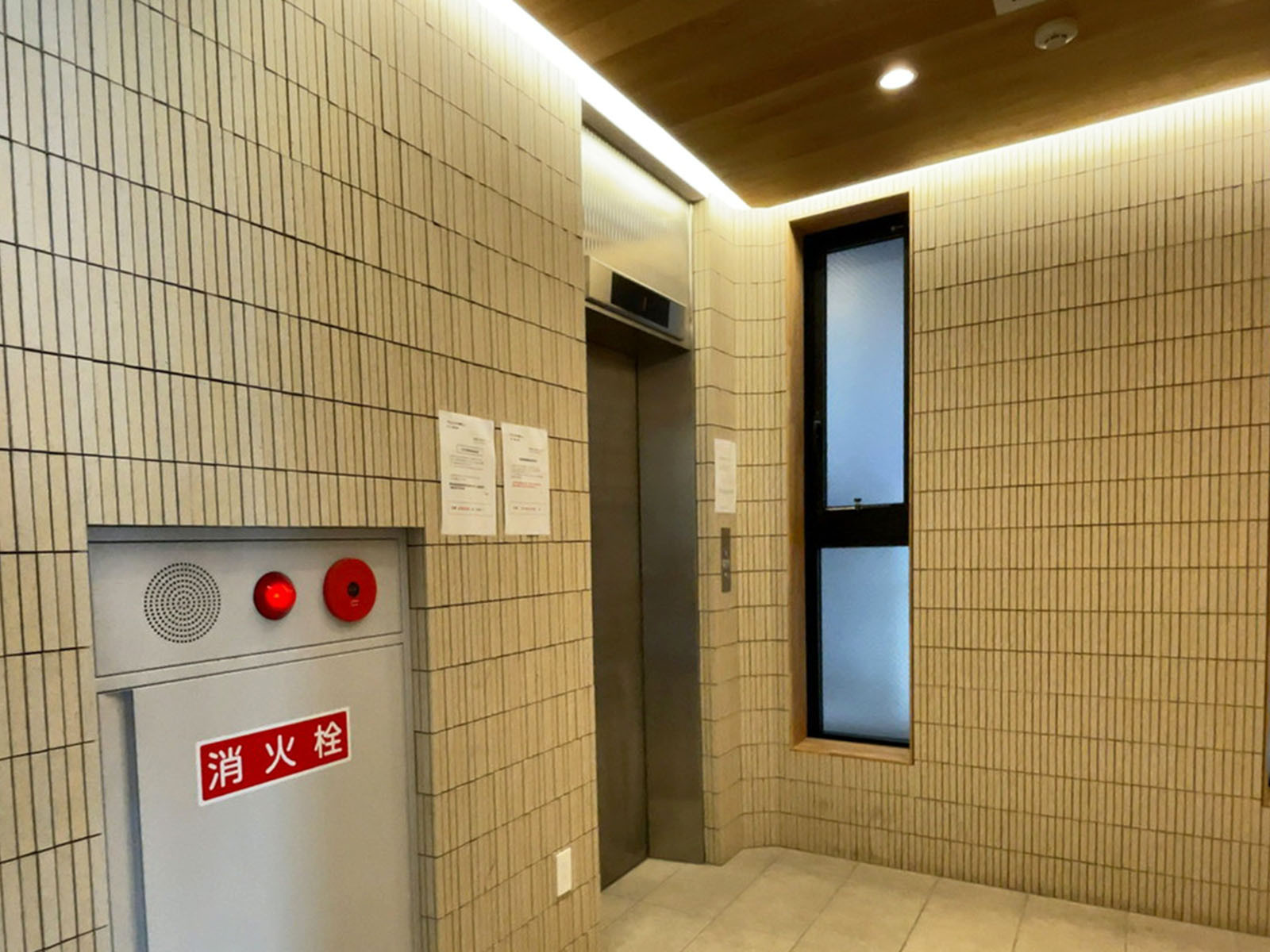 エレベーター(1基)