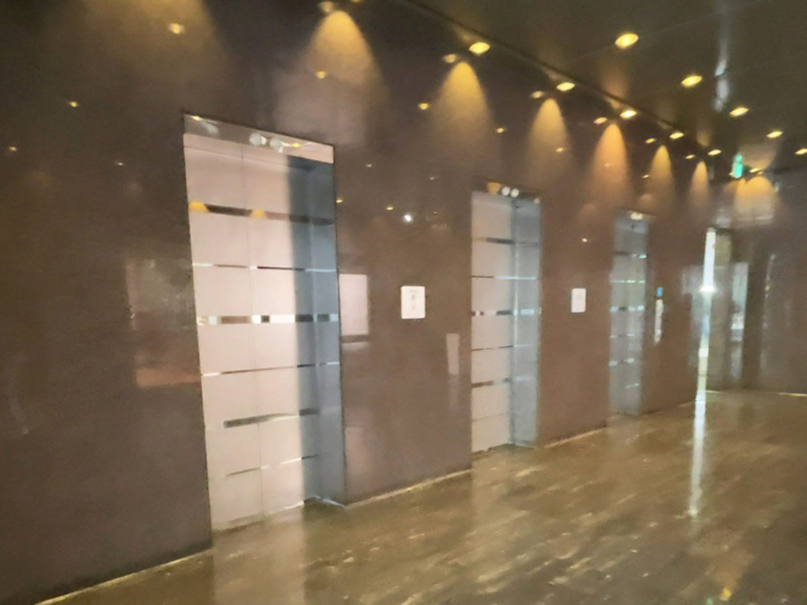 エレベーター(3基)