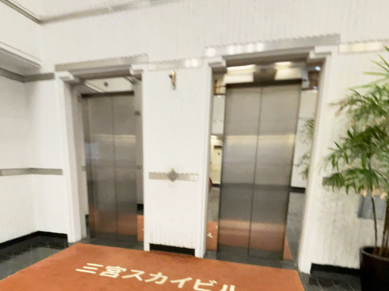 エレベーター(3基)