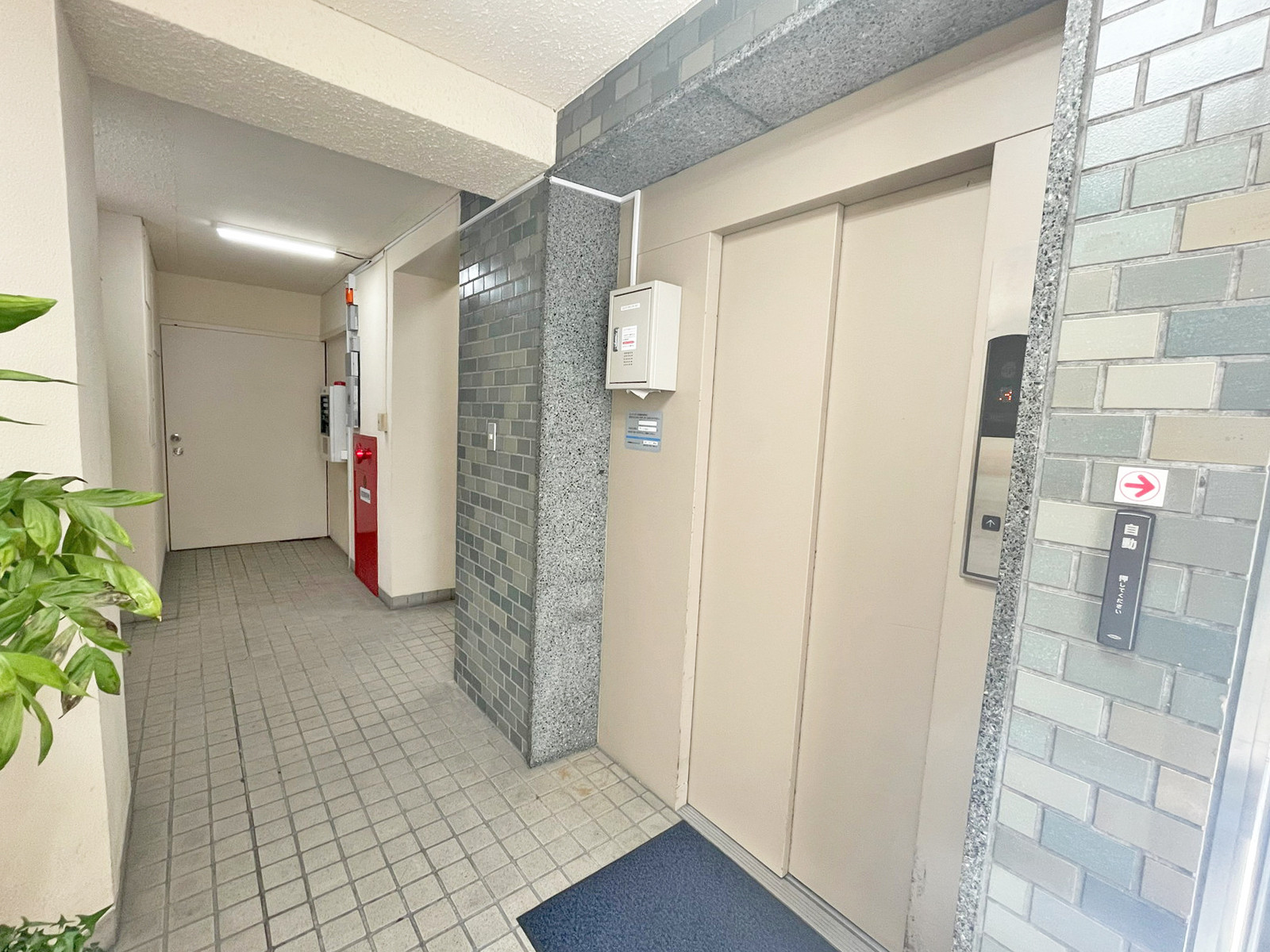 エレベーター(1基)