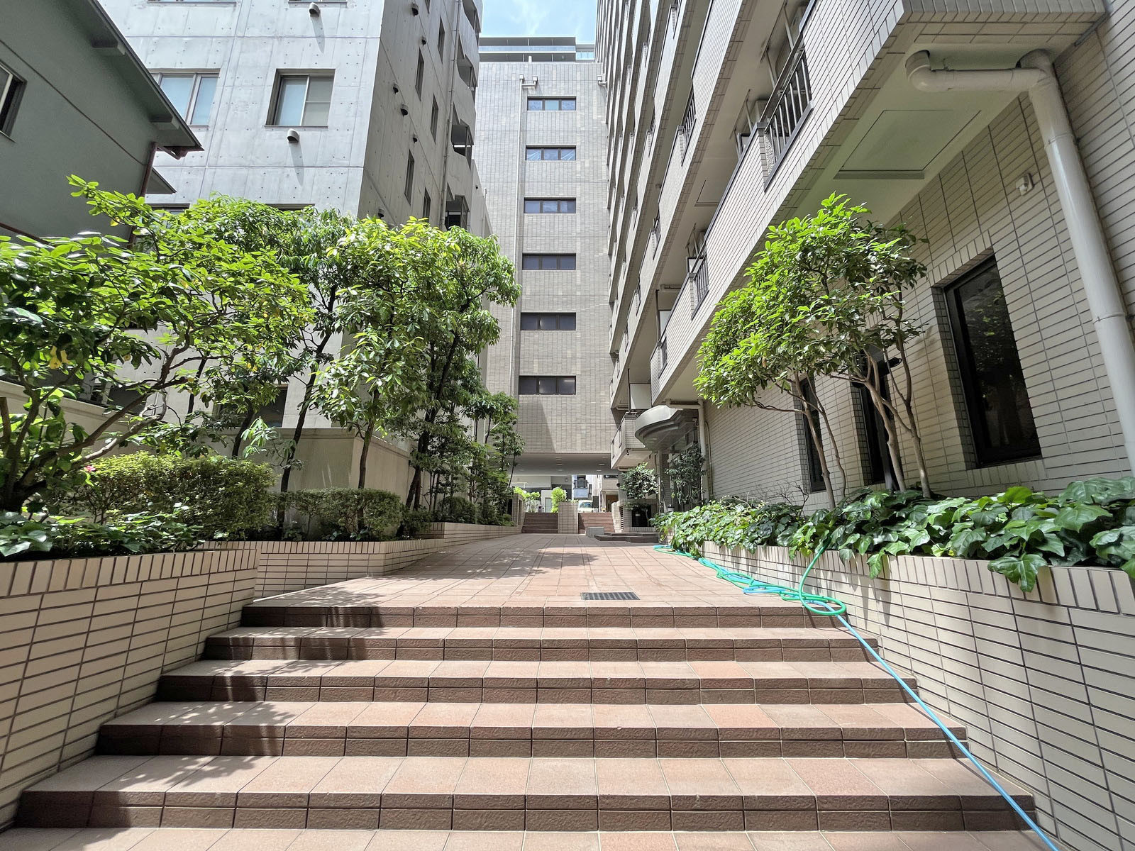 マンションエントランスアプローチ
