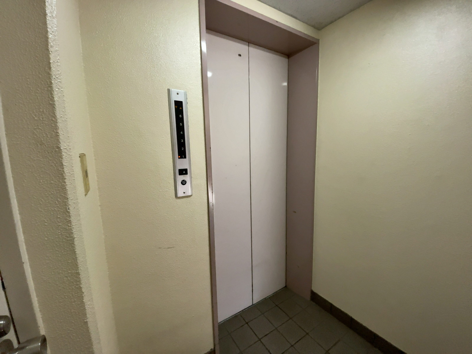 エレベーター(1基)