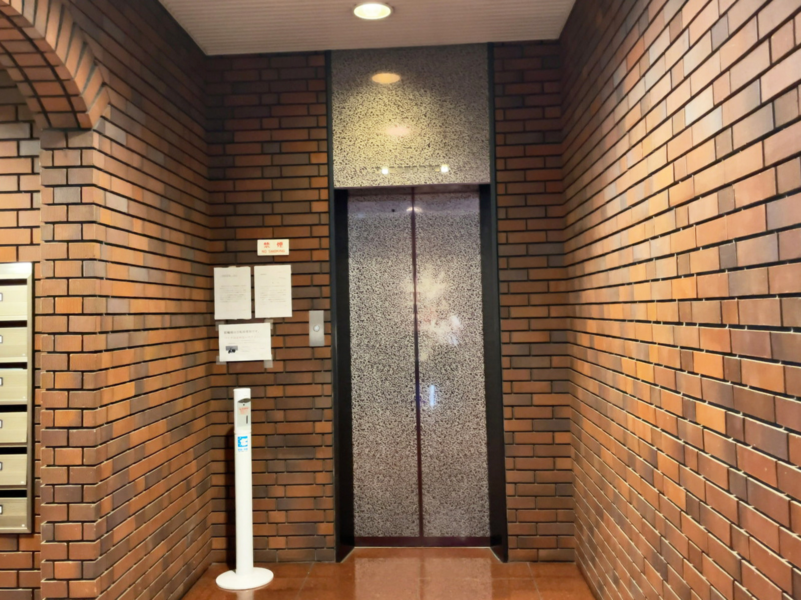 エレベーター(1基)